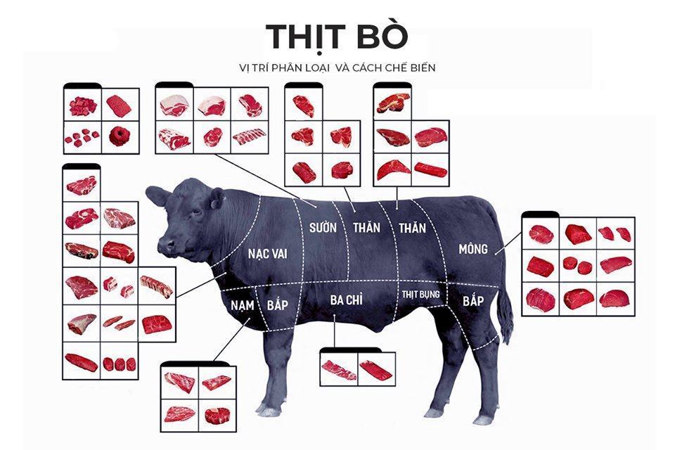 Cách phân loại thịt bò và cách chế biến 