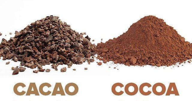 Cacao và cocoa khác nhau tới sức khỏe như thế nào?