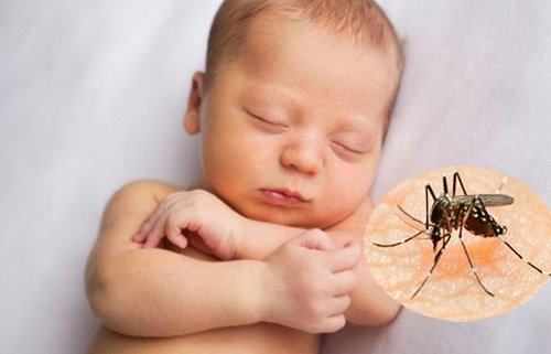Làm thế nào để trẻ không bị muỗi đốt