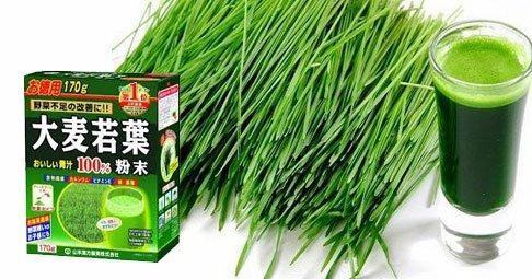 Tác dụng của bột lúa non barley Nhật. 