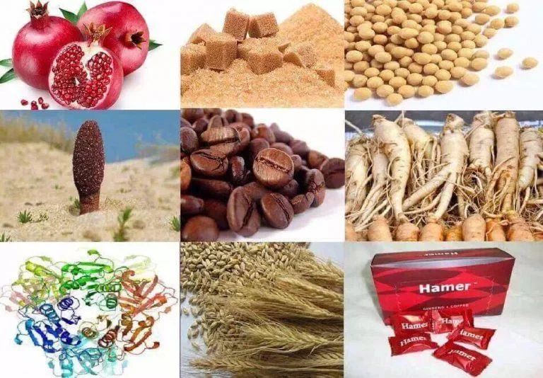 Kẹo sâm Hamer của Mỹ