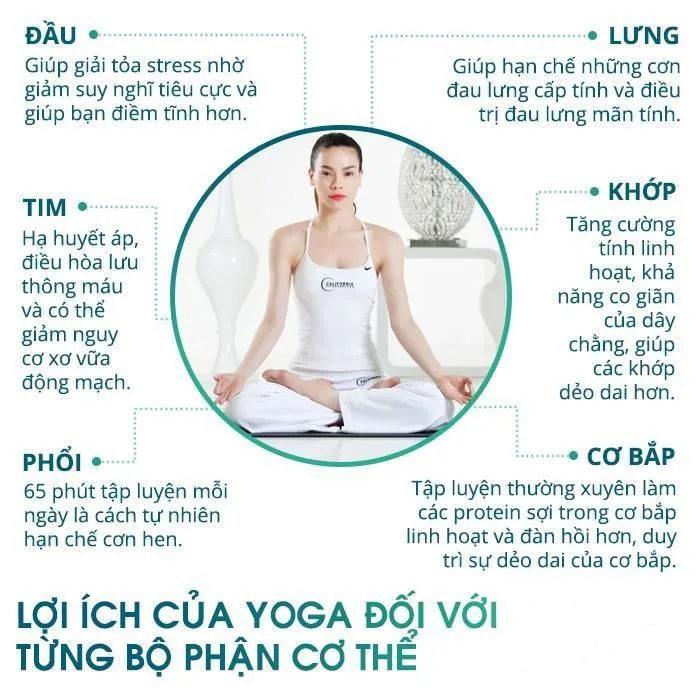 Lợi ích của tập yoga với sức khỏe bạn nên biết