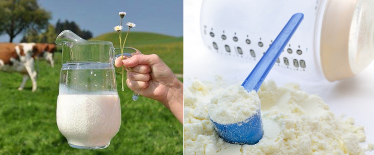 Sữa bột hay sữa tươi tốt hơn cho bé trên 1 tuổi?