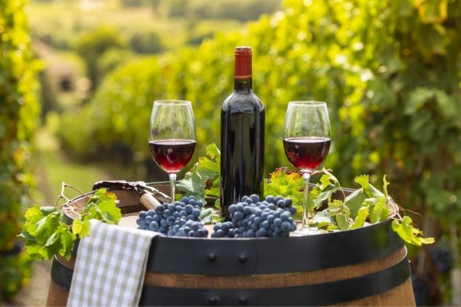 Rượu vang tốt cho sức khỏe không?