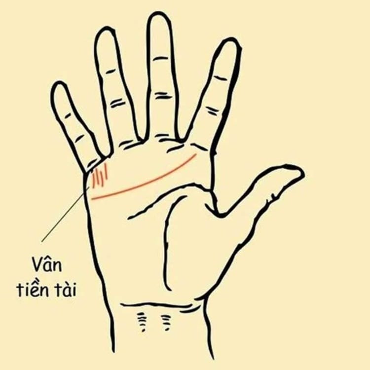 xem chỉ tay nữ