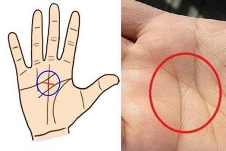cách xem chỉ tay nữ
